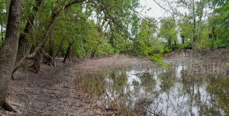 L’Agglo va restaurer des annexes hydrauliques sur le Thouet à Saumur