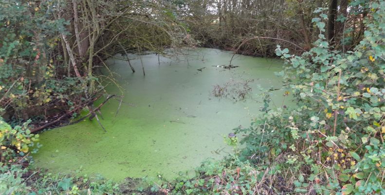 L’Agglo va restaurer et créer des mares dès octobre