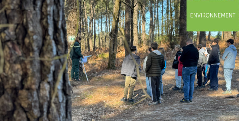 À la découverte de la filière forêt-bois : immersion pour les élèves du lycée Sadi Carnot