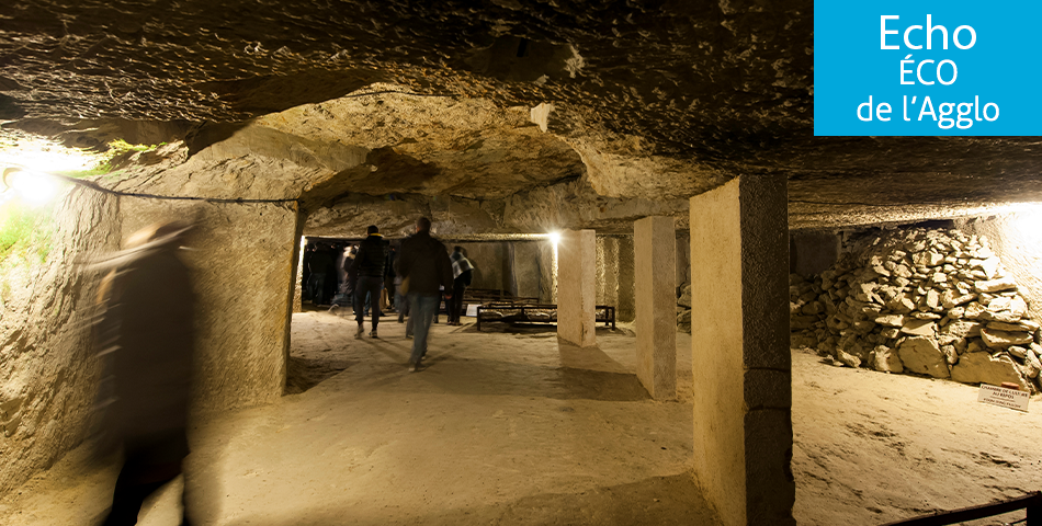 Gennes-Val-de-Loire : la Cave aux moines perpétue l’histoire du champignon