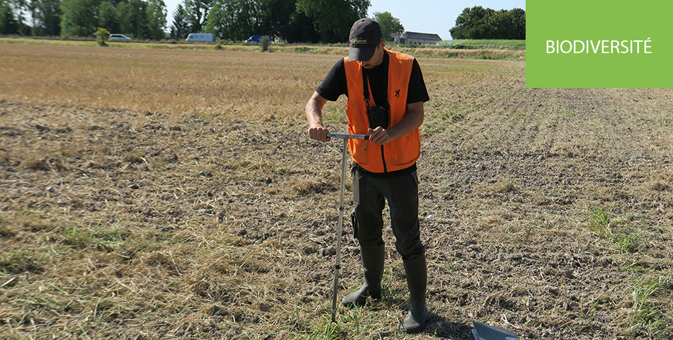 Inventaire des zones humides sur le bassin du Thouet et les masses d’eau liées à la Loire : 2e phase de terrain