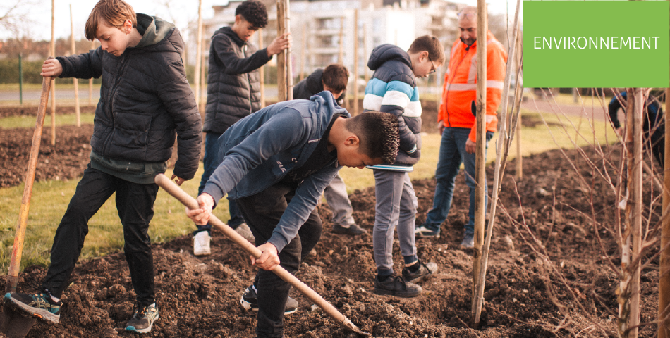 Une nouvelle zone boisée urbaine au cœur de Saumur 